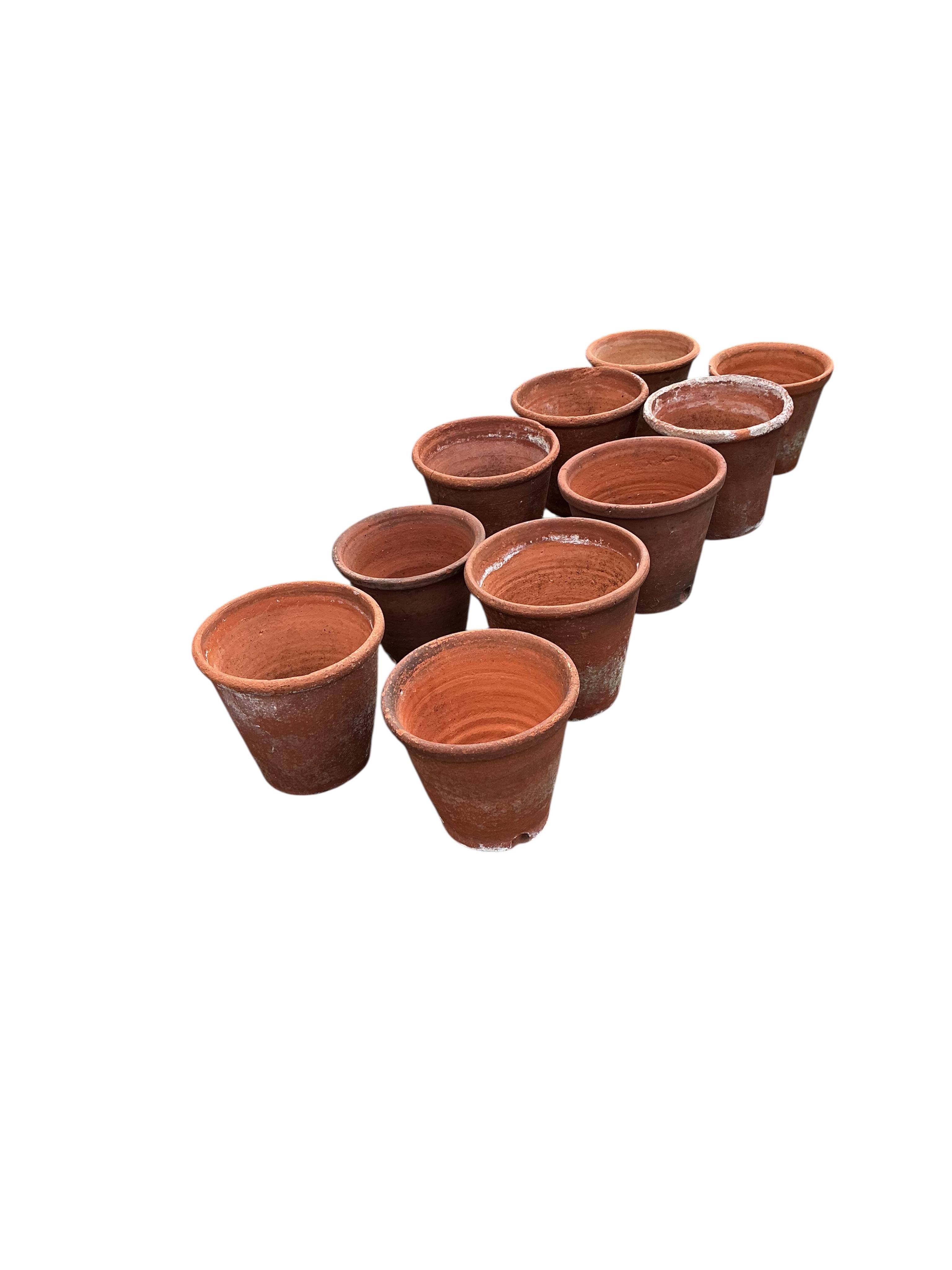 A set of ten terracotta garden planters, largest diameter 24cm, height 22cm